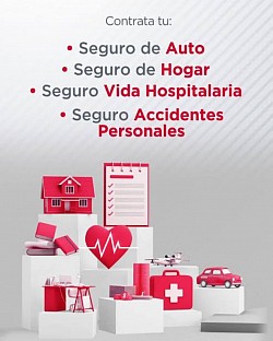 Seguros